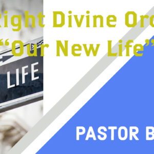 The Right Divine Order in “Our New Life”-1